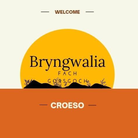 דירות Cribyn Bryngwalia Fach מראה חיצוני תמונה